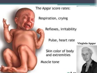 Virginia Apgar
 