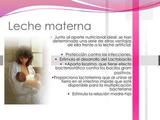 Leche maternaJunto al aporte nutricional ideal, se han determinado una serie de otras ventajas de ella frente a la leche artificial: Protección contra las infecciones.Estimula el desarrollo del Lactobacilo•Aporta lisozima, que tiene efecto bacteriostático contra los bacilos grampositivos. •Proporciona lactoferrina que al unirse al fierro en el intestino impide que esté disponible para la multiplicación bacterianaEstimula la relación madre-hijo