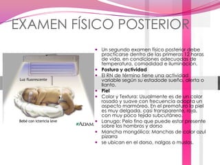 EXAMEN FÍSICO POSTERIORUn segundo examen físico posterior debe practicarse dentro de las primeras 12 horas de vida, en condiciones adecuadas de temperatura, comodidad e iluminación.Postura y actividad El RN de término tiene una actividad variable según su estadode sueño, alerta o llanto.Piel Color y Textura: Usualmente es de un color rosado y suave con frecuencia adopta un aspecto marmóreo. En el prematuro la piel es muy delgada, casi transparente, roja, con muy poco tejido subcutáneo. Lanugo: Pelo fino que puede estar presente sobre los hombros y dorsoMancha mongólica: Manchas de color azul pizarrase ubican en el dorso, nalgas o muslos.