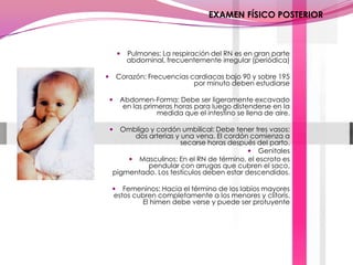 EXAMEN FÍSICO POSTERIORPulmones: La respiración del RN es en gran parte abdominal, frecuentemente irregular (periódica)Corazón: Frecuencias cardiacas bajo 90 y sobre 195 por minuto deben estudiarseAbdomen-Forma: Debe ser ligeramente excavado en las primeras horas para luego distenderse en la medida que el intestino se llena de aire.Ombligo y cordón umbilical: Debe tener tres vasos: dos arterias y una vena. El cordón comienza a secarse horas después del parto.GenitalesMasculinos: En el RN de término, el escroto es pendular con arrugas que cubren el saco, pigmentado. Los testículos deben estar descendidos. Femeninos: Hacia el término de los labios mayores estos cubren completamente a los menores y clítoris. El himen debe verse y puede ser protuyente