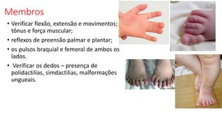 Membros
• Verificar flexão, extensão e movimentos;
tônus e força muscular;
• reflexos de preensão palmar e plantar;
• os pulsos braquial e femoral de ambos os
lados.
• Verificar os dedos – presença de
polidactilias, simdactilias, malformações
ungueais.
 