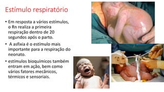 Estímulo respiratório
• Em resposta a vários estímulos,
o Rn realiza a primeira
respiração dentro de 20
segundos após o parto.
• A asfixia é o estímulo mais
importante para a respiração do
neonato.
• estímulos bioquímicos também
entram em ação, bem como
vários fatores mecânicos,
térmicos e sensoriais.
 