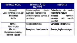 ESTÍMULO INICIAL ESTIMULAÇÃO DO
RECEPTOR
RESPOSTA
Sensorial
Luzes brilhantes, toque, dor
Quimiorreceptores visuais,
auditivos e proprioceptivos
Estimulação do centro
respiratório medular
Bioquímico
Asfixia
Quimiorreceptores aórticos e
carotídeos
Impulsos nervosos
eferentes (via medula
espinhal)
Térmico
Perda de calor
Receptores térmicos Contração diafragmática
Mecânico
Compressão torácica,
retração elástica
Receptores de estiramento Respiração glossofaríngea
 