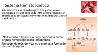 Sistema Hematopoiético
As características hematológicas que garantiram a
oxigenação tissular adequada intra-útero precisam ser
substituídas por alguns elementos mais maduros após o
nascimento.
No Embrião o fígado e o baço funcionam como
órgãos hemocitopoéticos temporários.
No segundo mês de vida intra-uterina, a formação
da medula óssea
 