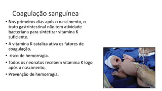 Coagulação sanguínea
• Nos primeiros dias após o nascimento, o
trato gastrintestinal não tem atividade
bacteriana para sintetizar vitamina K
suficiente.
• A vitamina K cataliza ativa os fatores de
coagulação.
• risco de hemorragia.
• Todos os neonatos recebem vitamina K logo
após o nascimento,
• Prevenção de hemorragia.
 