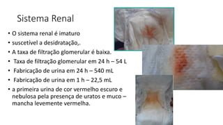 Sistema Renal
• O sistema renal é imaturo
• suscetível a desidratação,.
• A taxa de filtração glomerular é baixa.
• Taxa de filtração glomerular em 24 h – 54 L
• Fabricação de urina em 24 h – 540 mL
• Fabricação de urina em 1 h – 22,5 mL
• a primeira urina de cor vermelho escuro e
nebulosa pela presença de uratos e muco –
mancha levemente vermelha.
 