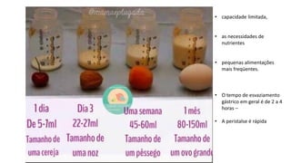 • capacidade limitada,
• as necessidades de
nutrientes
• pequenas alimentações
mais freqüentes.
• O tempo de esvaziamento
gástrico em geral é de 2 a 4
horas –
• A peristalse é rápida
 