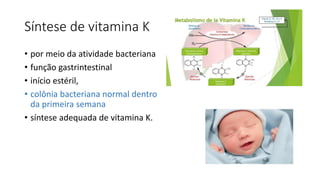 Síntese de vitamina K
• por meio da atividade bacteriana
• função gastrintestinal
• início estéril,
• colônia bacteriana normal dentro
da primeira semana
• síntese adequada de vitamina K.
 