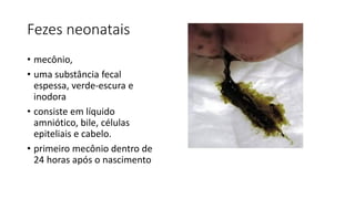 Fezes neonatais
• mecônio,
• uma substância fecal
espessa, verde-escura e
inodora
• consiste em líquido
amniótico, bile, células
epiteliais e cabelo.
• primeiro mecônio dentro de
24 horas após o nascimento
 