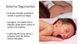 Sistema Tegumentar
• O recém-nascido saudável é
úmido e quente ao toque.
• Lanugem, um cabelo fino e
felpudo, pode existir sobre as
costas e os ombros.
• a pele dos Rn serve como a
primeira linha de defesa
contra infecções.
 