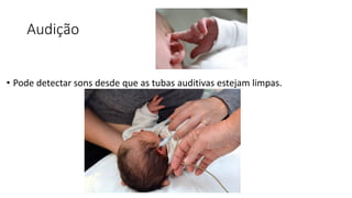 Audição
• Pode detectar sons desde que as tubas auditivas estejam limpas.
 