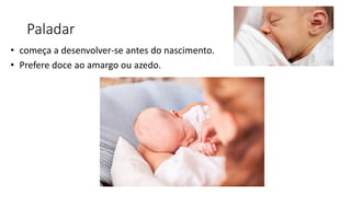 Paladar
• começa a desenvolver-se antes do nascimento.
• Prefere doce ao amargo ou azedo.
 