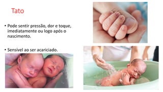 Tato
• Pode sentir pressão, dor e toque,
imediatamente ou logo após o
nascimento.
• Sensível ao ser acariciado.
 