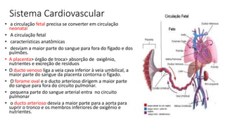 Sistema Cardiovascular
• a circulação fetal precisa se converter em circulação
neonatal
• A circulação fetal
• características anatômicas
• desviam a maior parte do sangue para fora do fígado e dos
pulmões.
• A placenta> órgão de troca> absorção de oxigênio,
nutrientes e excreção de resíduos
• O ducto venoso liga a veia cava inferior à veia umbilical, a
maior parte do sangue da placenta contorna o fígado.
• O forame oval e o ducto arterioso dirigem a maior parte
do sangue para fora do circuito pulmonar.
• pequena parte do sangue arterial entra no circuito
pulmonar
• o ducto arterioso desvia a maior parte para a aorta para
suprir o tronco e os membros inferiores de oxigênio e
nutrientes.
 