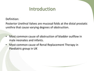 Introduction
Definition:
Posterior Urethral Valves are mucosal folds at the distal prostatic
urethra that cause varying degrees of obstruction.
• Most common cause of obstruction of bladder outflow in
male neonates and infants.
• Most common cause of Renal Replacement Therapy in
Paediatric group in UK
 