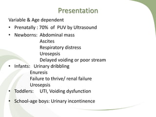 Presentation
Variable & Age dependent
• Prenatally : 70% of PUV by Ultrasound
• Newborns: Abdominal mass
Ascites
Respiratory distress
Urosepsis
Delayed voiding or poor stream
• Infants: Urinary dribbling
Enuresis
Failure to thrive/ renal failure
Urosepsis
• Toddlers: UTI, Voiding dysfunction
• School-age boys: Urinary incontinence
 