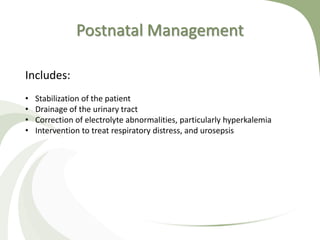 Postnatal Management
Includes:
• Stabilization of the patient
• Drainage of the urinary tract
• Correction of electrolyte abnormalities, particularly hyperkalemia
• Intervention to treat respiratory distress, and urosepsis
 