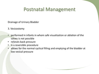 Postnatal Management
Drainage of Urinary Bladder
3. Vesicostomy
• performed in infants in whom safe visualization or ablation of the
valves is not possible
• relieves back pressure
• is a reversible procedure
• allows for the normal cyclical filling and emptying of the bladder at
low vesical pressure
 