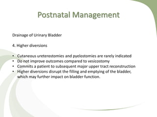 Postnatal Management
Drainage of Urinary Bladder
4. Higher diversions
• Cutaneous ureterostomies and pyelostomies are rarely indicated
• Do not improve outcomes compared to vesicostomy
• Commits a patient to subsequent major upper tract reconstruction
• Higher diversions disrupt the filling and emptying of the bladder,
which may further impact on bladder function.
 