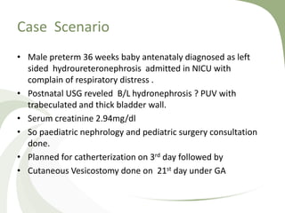 Case Scenario
• Male preterm 36 weeks baby antenataly diagnosed as left
sided hydroureteronephrosis admitted in NICU with
complain of respiratory distress .
• Postnatal USG reveled B/L hydronephrosis ? PUV with
trabeculated and thick bladder wall.
• Serum creatinine 2.94mg/dl
• So paediatric nephrology and pediatric surgery consultation
done.
• Planned for catherterization on 3rd day followed by
• Cutaneous Vesicostomy done on 21st day under GA
 