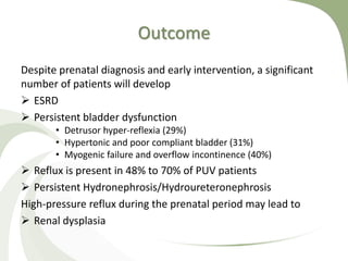 Outcome
Despite prenatal diagnosis and early intervention, a significant
number of patients will develop
 ESRD
 Persistent bladder dysfunction
• Detrusor hyper-reflexia (29%)
• Hypertonic and poor compliant bladder (31%)
• Myogenic failure and overflow incontinence (40%)
 Reflux is present in 48% to 70% of PUV patients
 Persistent Hydronephrosis/Hydroureteronephrosis
High-pressure reflux during the prenatal period may lead to
 Renal dysplasia
 