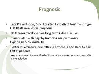 Prognosis
• Late Presentation, Cr > 1.0 after 1 month of treatment, Type
III PUV all have worse prognosis
• 30 % cases develop some long term kidney failure
• If associated with oligohydramnios and pulmonary
hypoplasia 50% mortality.
• Postnatal vesicoureteral reflux is present in one-third to one-
half of patients
worse prognosis but one third of these cases resolve spontaneously after
valve ablation
 