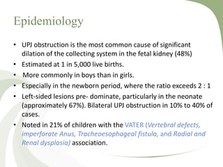 Epidemiology
• UPJ obstruction is the most common cause of significant
dilation of the collecting system in the fetal kidney (48%)
• Estimated at 1 in 5,000 live births.
• More commonly in boys than in girls.
• Especially in the newborn period, where the ratio exceeds 2 : 1
• Left-sided lesions pre- dominate, particularly in the neonate
(approximately 67%). Bilateral UPJ obstruction in 10% to 40% of
cases.
• Noted in 21% of children with the VATER (Vertebral defects,
imperforate Anus, Tracheoesophageal fistula, and Radial and
Renal dysplasia) association.
 