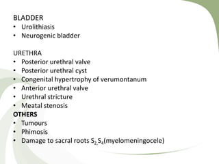 BLADDER
• Urolithiasis
• Neurogenic bladder
URETHRA
• Posterior urethral valve
• Posterior urethral cyst
• Congenital hypertrophy of verumontanum
• Anterior urethral valve
• Urethral stricture
• Meatal stenosis
OTHERS
• Tumours
• Phimosis
• Damage to sacral roots S2,S4(myelomeningocele)
 