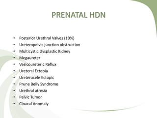 PRENATAL HDN
• Posterior Urethral Valves (10%)
• Ureteropelvic junction obstruction
• Multicystic Dysplastic Kidney
• Megaureter
• Vesicoureteric Reflux
• Ureteral Ectopia
• Ureterocele Ectopic
• Prune Belly Syndrome
• Urethral atresia
• Pelvic Tumor
• Cloacal Anomaly
 