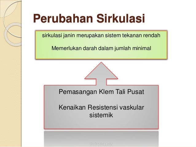 Adaptasi fisiologi neonatus