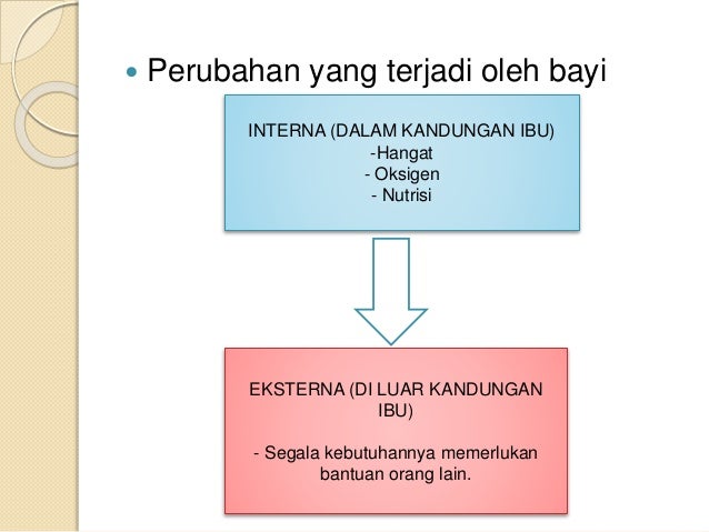 Adaptasi fisiologi neonatus