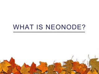 WHAT IS NEONODE?
4
 