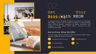 Neon Soft Telecom Process Management Company | PPTX | Business ...