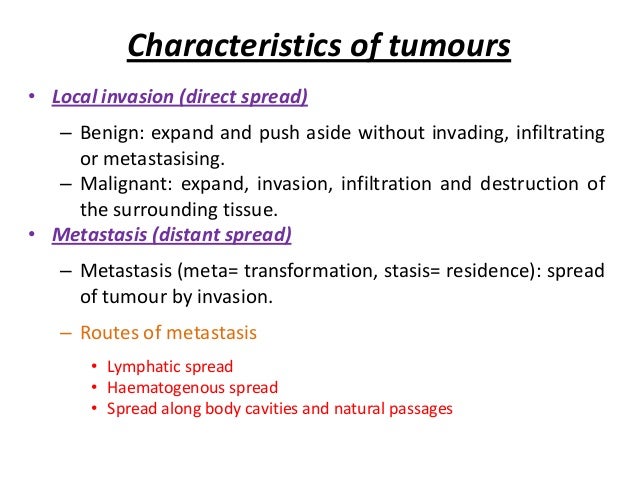 Neoplasia Characteristics And Classification Of Cancer
