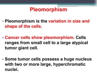 Define Pleomorphic Neoplasia 1 | PPTX