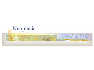 Neoplasia
 