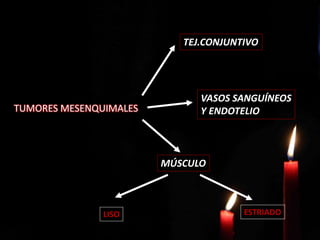 TUMORES MESENQUIMALES
TEJ.CONJUNTIVO
VASOS SANGUÍNEOS
Y ENDOTELIO
MÚSCULO
LISO ESTRIADO
 