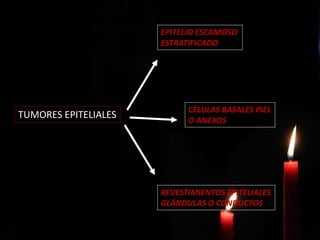 TUMORES EPITELIALES
EPITELIO ESCAMOSO
ESTRATIFICADO
CÉLULAS BASALES PIEL
O ANEXOS
REVESTIMIENTOS EPITELIALES
GLÁNDULAS O CONDUCTOS
 
