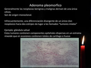 Adenoma pleomorfico
Generalmente las neoplasias benignas y malignas derivan de una única
célula.
Son de origen monoclonal.
Infrecuentemente, una diferenciación divergente de un único clon
neoplasico hacia dos estirpes da lugar a los llamados “tumores mixtos”
Ejemplo: glándula salival
Estos tumores contienen componentes epiteliales dispersos en un estroma
mixoide que en ocasiones contienen islotes de cartílago o hueso
 