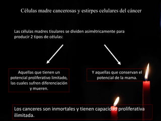 Células madre cancerosas y estirpes celulares del cáncer
Las células madres tisulares se dividen asimétricamente para
producir 2 tipos de células:
Aquellas que tienen un
potencial proliferativo limitado,
las cuales sufren diferenciación
y mueren.
Y aquellas que conservan el
potencial de la mama.
Los canceres son inmortales y tienen capacidad proliferativa
ilimitada.
 