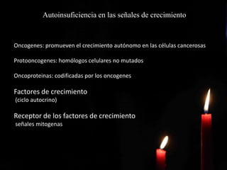 Autoinsuficiencia en las señales de crecimiento
Oncogenes: promueven el crecimiento autónomo en las células cancerosas
Protooncogenes: homólogos celulares no mutados
Oncoproteinas: codificadas por los oncogenes
Factores de crecimiento
(ciclo autocrino)
Receptor de los factores de crecimiento
señales mitogenas
 
