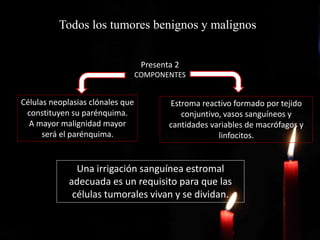 Todos los tumores benignos y malignos
Presenta 2
COMPONENTES
Células neoplasias clónales que
constituyen su parénquima.
A mayor malignidad mayor
será el parénquima.
Estroma reactivo formado por tejido
conjuntivo, vasos sanguíneos y
cantidades variables de macrófagos y
linfocitos.
Una irrigación sanguínea estromal
adecuada es un requisito para que las
células tumorales vivan y se dividan.
 