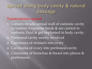 Transcoelomic spread
 Cancers invade serosal wall of coelomic cavity
so tumour fragments break & are carried in
coelomic fluid & get implanted in body cavity.
 Peritoneal cavity mostly involved
 Carcinoma of stomach into ovary
 Carcinoma of ovary into peritoneal cavity
 Carcinoma of bronchus & breast into pleura &
peritoneum
 