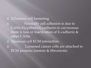  2)Tumour cell loosening
 Normally cell adhesion is due to
CAMs,E(epithelial)-cadherin.in carcinomas
there is loss or inactivation of E-cadherin &
other CAMs.
 3)tumour cell ECM interaction
 Loosened cancer cells are attached to
ECM proteins laminin & fibronectin.
 