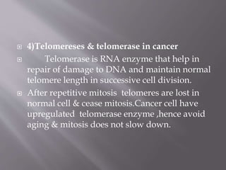  4)Telomereses & telomerase in cancer
 Telomerase is RNA enzyme that help in
repair of damage to DNA and maintain normal
telomere length in successive cell division.
 After repetitive mitosis telomeres are lost in
normal cell & cease mitosis.Cancer cell have
upregulated telomerase enzyme ,hence avoid
aging & mitosis does not slow down.
 