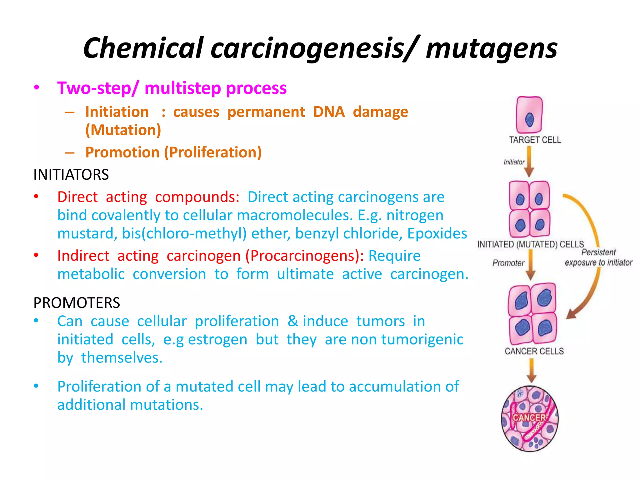 Neoplasia Etiology and pathogenesis of cancer | PPTX