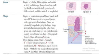 NEOPLASIA | PPTX