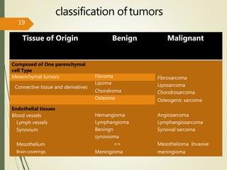 classification of tumors
Tissue of Origin Benign Malignant
Composed of One parenchymal
cell Type
Fibrosarcoma
Liposarcoma
Chondrosarcoma
Osteogenic sarcoma
Mesenchymal tumors Fibroma
Connective tissue and derivatives
Lipoma
Chondroma
Osteoma
Endothelial tissues
Blood vessels
Lymph vessels
Synovium
Mesothelium
Brain coverings
Hemangioma
Lymphangioma
Beningn
synovioma
==
Meningioma
Angiosarcoma
Lymphangiosarcoma
Synovial sarcoma
Mesothelioma Invasive
meningioma
19
 