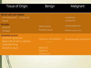 Tissue of Origin Benign Malignant
Blood cells and related
Hematopoietic Lymphoid
tissue
Muscles
Smooth
Striated
---
----
Leiomyoma
Rhabdomyoma
Leukemia
Lymphoma
Leiomyosarcoma
Rhabdomyosarcoma
Epithelial tumors
Stratified squamous
Basal cells of skin or adnexa
Epithelial lining
Glands or ducts
Squamous cell papilloma
------
Adenoma
Papilloma
Cystadenoma
Squamouscell carcinoma
 