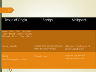 Tissue of Origin Benign Malignant
More Than One Neoplastic
Type- Mixed Tumors, Usually
Derived From One Germ
Salivary glands Pleomorphic adenoma(mixed
tumor of salivary origin)
Malignant mixed tumor of
salivary gland origin
Breast
Renal anlage(primordium)
Fibroadenoma Malignant cystosarcoma
phyllodes Wilms tumor
23
 